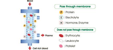 tpe醫(yī)學上是什么意思